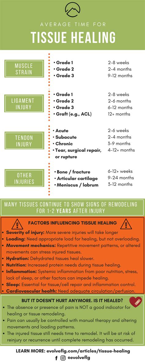 Tissue Healing Times, and What It Means For You — EVOLVE Flagstaff