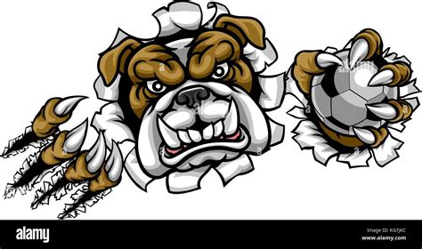 Bulldog Soccer Football Mascot Stock Vector Image & Art - Alamy