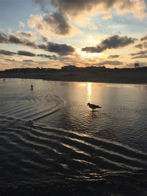 Beach Views in Wildwood, NJ : r/pics