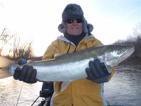 Muskegon River Guide.com: Michigan Steelhead Fishing