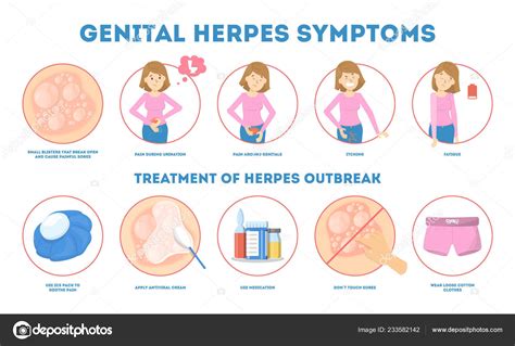 Genital herpes symptoms. Infectious dermatology disease illustration — Stock Vector © inspiring ...