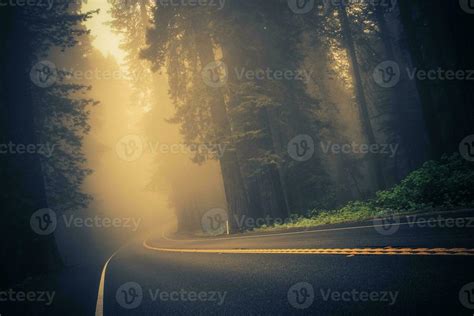 Foggy Forest Road 24631958 Stock Photo at Vecteezy