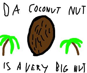 The Coconut Song - Drawception