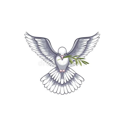 A Dove with an Olive Branch is a Symbol of Peace. Stock Vector ...