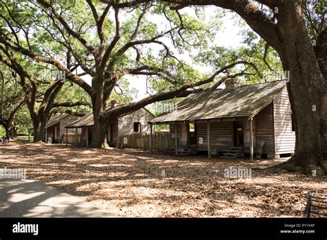 Slave quarters oak alley plantation hi-res stock photography and images ...