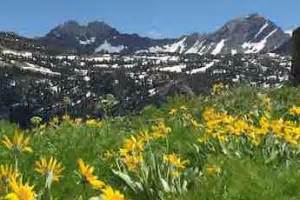 Jackson Hole Hiking Trails, Wyoming Hikes - AllTrips