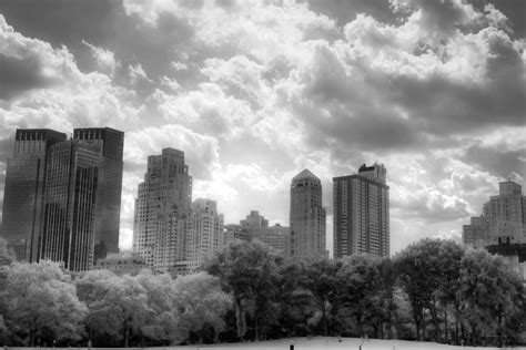 skyline over Central Park