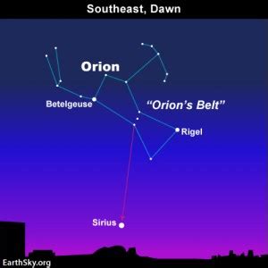 Orion and Sirius the Dog Star | Tonight | EarthSky