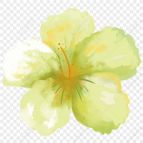 White Flowers, Light White, Green White, Flower White PNG Transparent Image And Clipart Image ...