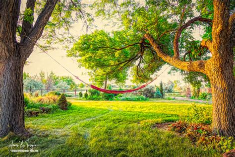 Lazy Afternoon | Mixed media digital fine art photography pa… | Flickr