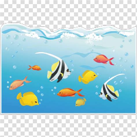 marine biologist clipart 10 free Cliparts | Download images on Clipground 2024