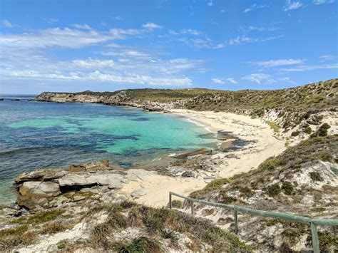 Visit Rottnest Island in Australia For An Awesome Day Trip