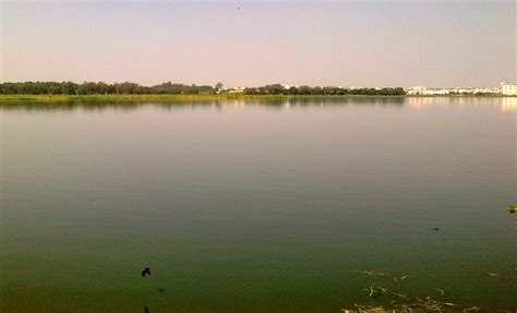 Bellandur Lake - Bengaluru