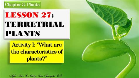 SCIENCE IV | Lesson 27: Terrestrial Plants - YouTube