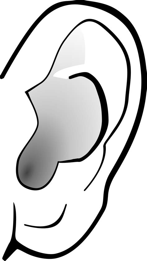 Clipart - ear