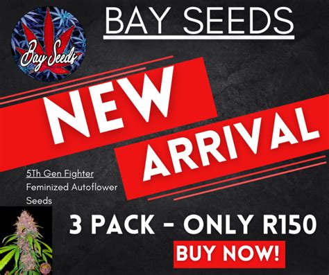 Cannabis Seeds South Africa | Online Cannabis Seed Shop SA