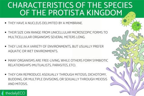 Kingdom Protista - Definition, Characteristics, Classification and Examples