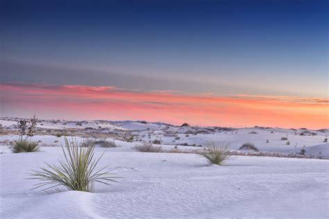 Landscapes of White Sand Dunes in New Mexico in the United States