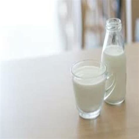 Buffalo Milk at Best Price in Sardulgarh, Punjab | Sandeep Dairy Farming