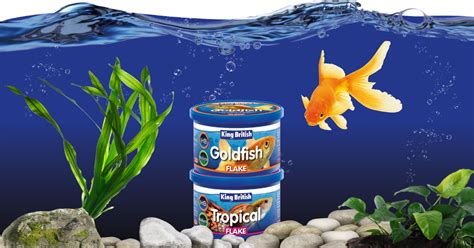 Tetra's Best Goldfish Flakes and Crisps - Pet Food Guide