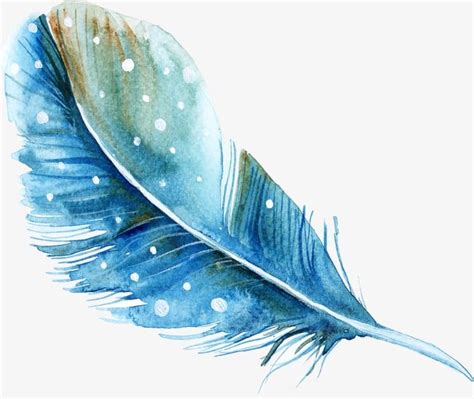 Free Download White Transparent, Blue Hand Painted Watercolor Feather ...