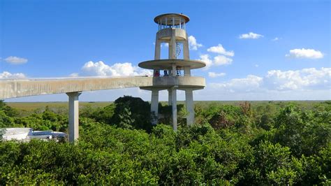 Everglades NP (Florida) - Shark Valley Observation Tower | Flickr