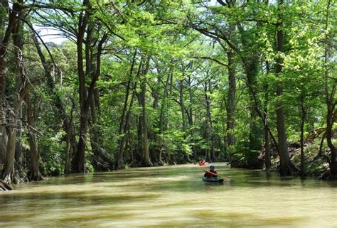 boatsandballs: Medina River