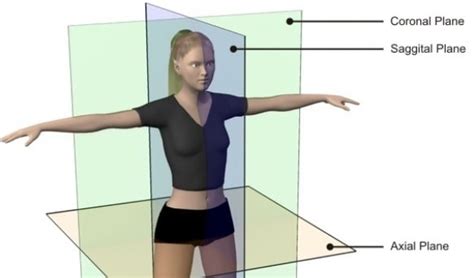 Oblique Plane Anatomy