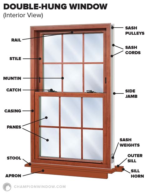 Anatomy Of A Window - Anatomy Reading Source