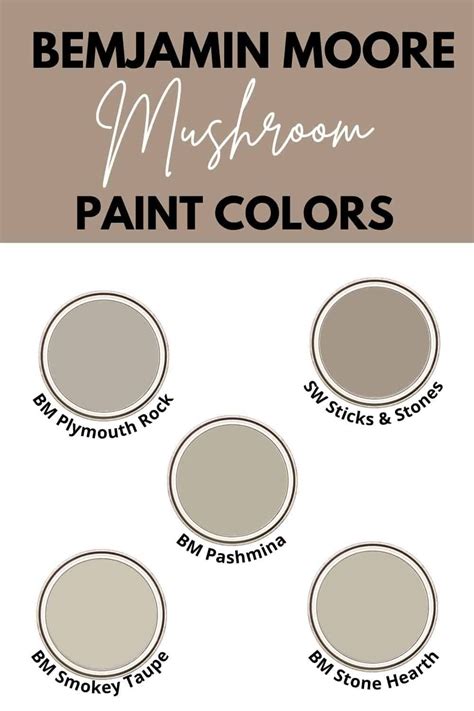 10 Best Mushroom Paint Colors - West Magnolia Charm | Mushroom color paint, Mushroom paint ...