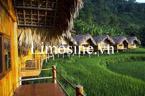 Top 11 Nhà nghỉ khách sạn homestay Hoàng Su Phì lodge view bungalow