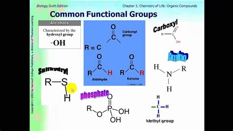 AP Biology Ch 3 part 1 functional groups and carbohydrates - YouTube