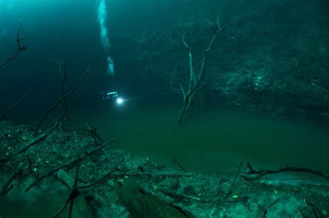 The Underground River in Cenote Angelita