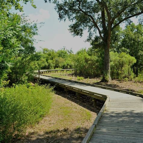 Bayou Sauvage National Wildlife Refuge - All You Need to Know BEFORE You Go (2024)