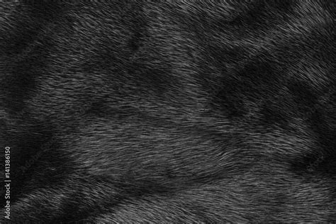 Black fur texture Stock Photo | Adobe Stock