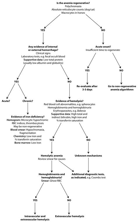 Anemia algorithm – eClinpath