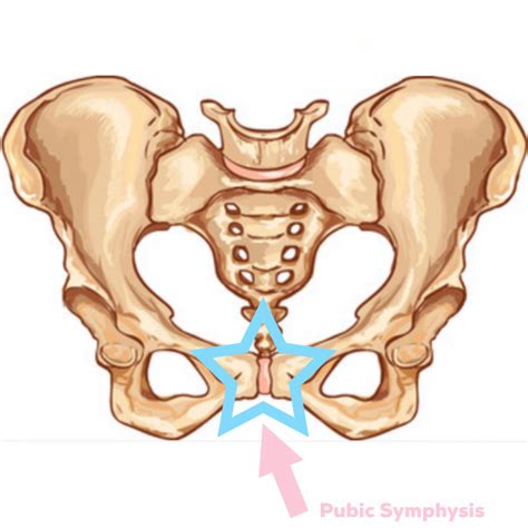 PUBIC SYMPHYSIS PAIN - WHAT IS IT AND HOW CAN YOU GET RELIEF? - Health2U