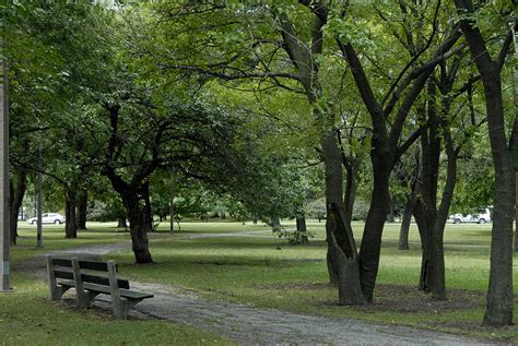 Humboldt Park Chicago Photograph by Andres Briganti - Pixels