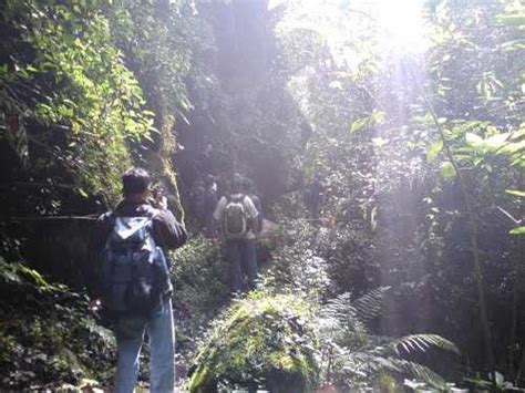 Kodaikanal Trekking| Routes, Best Time, Time Required