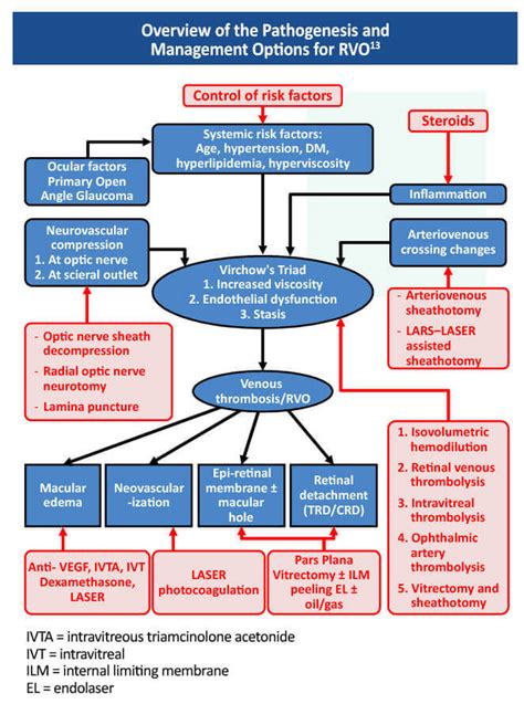 Retinal Vein Occlusion Management | Vision Loss Treatments & Therapy
