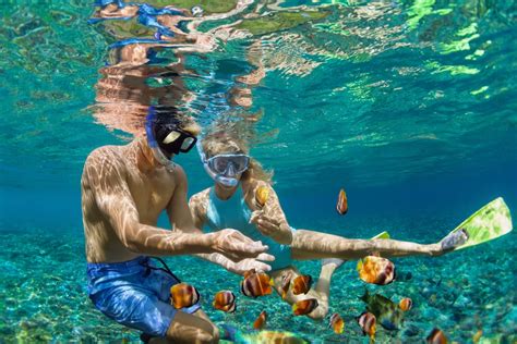 Best Spots for Snorkeling in Cancun | Blog Cancun Snorkeling