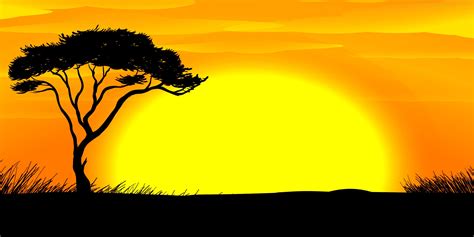 Safari themed backdrops and props for events in 2023 | African sunset, Africa sunset, Sunset ...