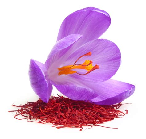 Saffron Flower Meaning | Best Flower Site