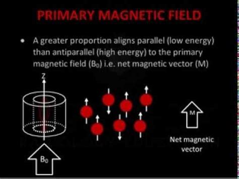 Lecture 10 Introduction To Mri - Lessons - Blendspace