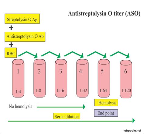 ASO Titer (Antistreptolysin O titer) – Labpedia.net