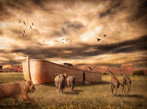 ark of Noah by robsonbatista on DeviantArt