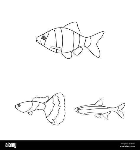 Different types of fish outline icons in set collection for design ...