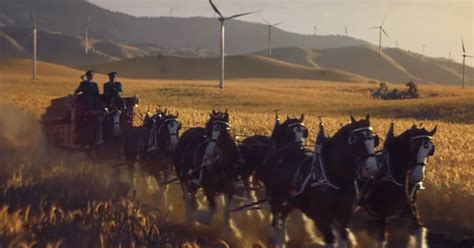 Budweiser Super Bowl Commercial 2019: Clydesdales, a Dog, and Bob Dylan ...