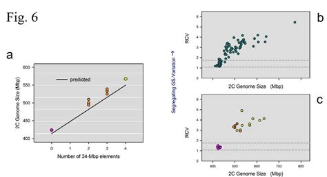 Mechanistic explanations of intraspecific genome size variation. a... | Download Scientific Diagram