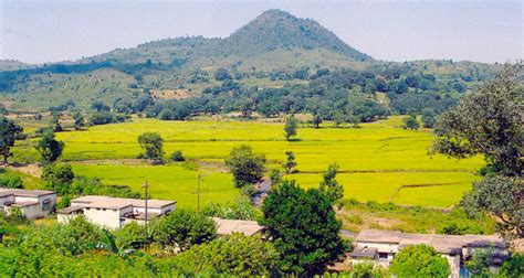 One Day Vizag to Araku Valley Tour by Cab [Package Cost]